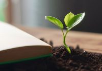 Guide to building sustainable long term habits.